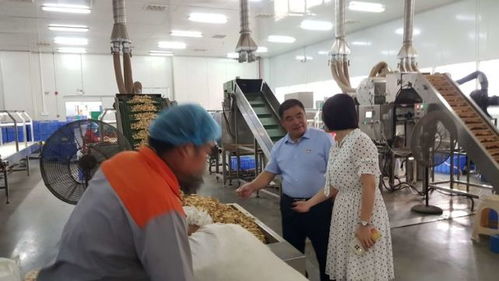 湘西國家農科園赴寧鄉國家農業科技園區考察學習，共謀農業高質量發展與信息技術咨詢服務創新